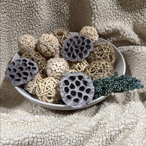Neutral Decorative Bowl Filler Set with Natural Elements
